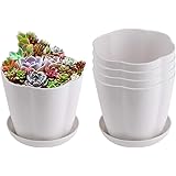 leoyoubei Petal - type melamine pots desktop/balcony flower pots to send tray Perfect herbs small flowers succulents nursery Pot-white 5 pack