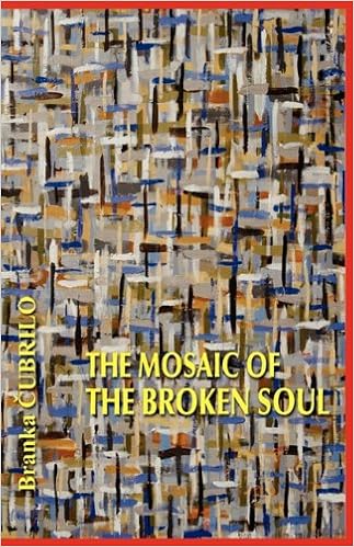 The Mosaic Of The Broken Soul Amazon Co Uk Cubrilo Branka 9781907211973 Books