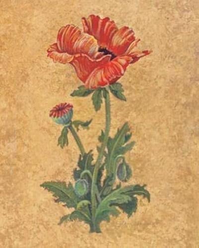 Lee Jamieson - Oriental Poppy NO LONGER IN PRINT - LAST ONE!!