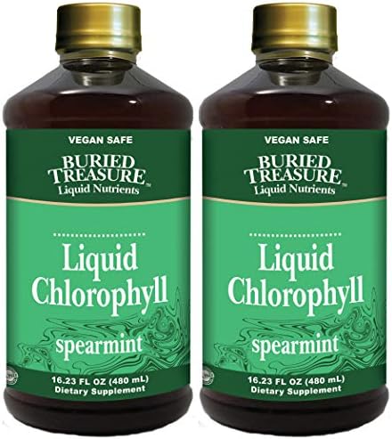 Buried Treasure Natural Liquid Nutrients Liquid Chlorophyll Spearmint (Pack of 2) with Copper, Sodium, Spearmint and Nisin, 16 oz. Each