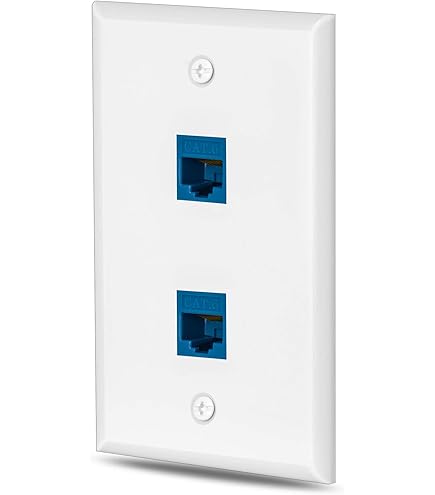 4 Pieces 2 Port Ethernet Wall Plate, RJ45 Cat6 Female To Female Jack Inline Coupler Face Plates - View #5