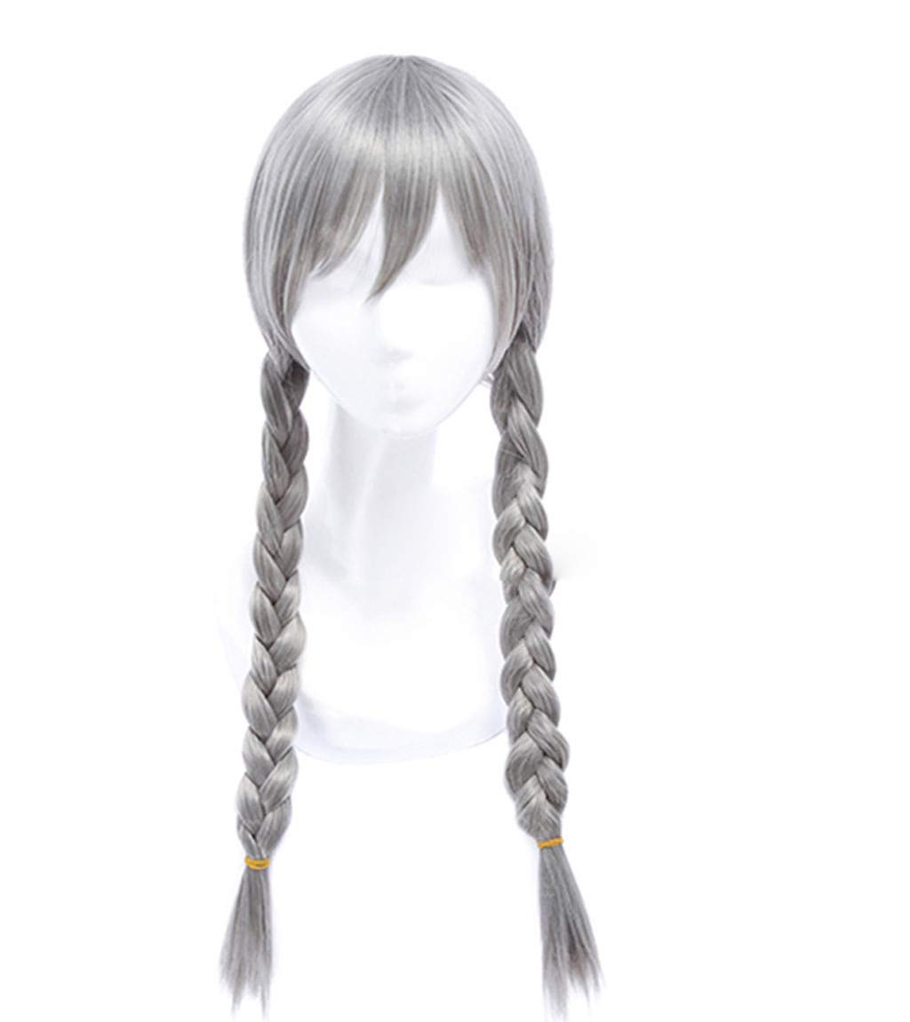 Braided Long Grey Wig For Black Women Girls 2 Braids Straight Hair