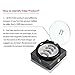 LASH'D UP Supports Cancer Research | 3 Magnets BOLD WINGS Magnetic Eyelashes Silk Cruelty Free Full Eye Complete Set Reusable Thick Long False Lashes - No Glue | undress me by Lash'd Up