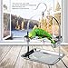 Bird Stands for Parrots, Portable Stainless Steel Parrot Training Perches Birdcage Bird Play Stand with 4 Feeder Cup for Small Birds Tiger Conure Cockatiel Parakeetthumb 2