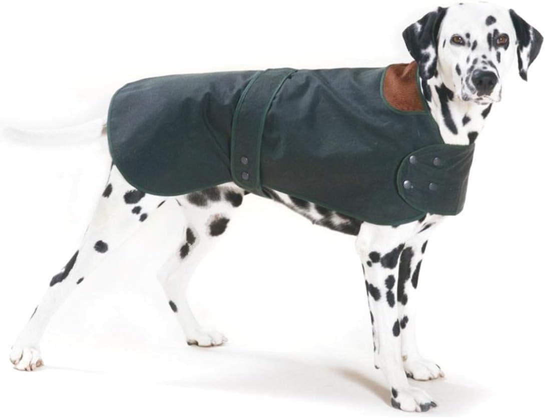 Cosipet Hunter Coat, 40-inch/ 101 cm, Green, 40-inch/101 cm - Image 3