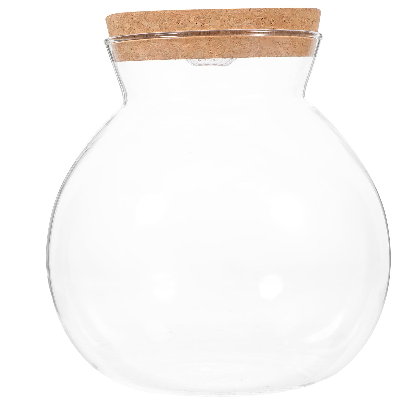 POPETPOP Led Light Ecological Bottle Fish Tank Micro Landscape Glass Jar with Diy Micro Plants 6.30In Aquarium Bowl for Home Decor and Creative Display