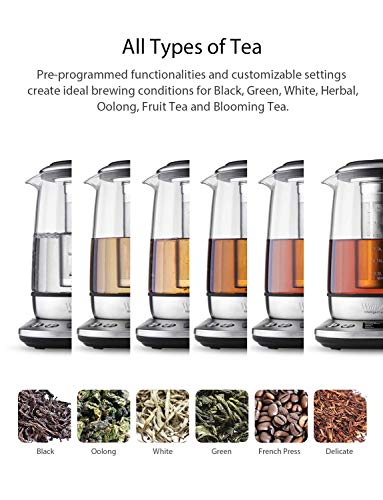 4 Willsence+Electric+Stainless+Temperature+Removable