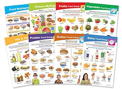 My Plate Food Nutrition Bulletin Board Chart Set Grades 1 4