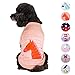 Blueberry Pet Henry The Zebra Cotton Dog T Shirt in Light Apricot, Back Length 12