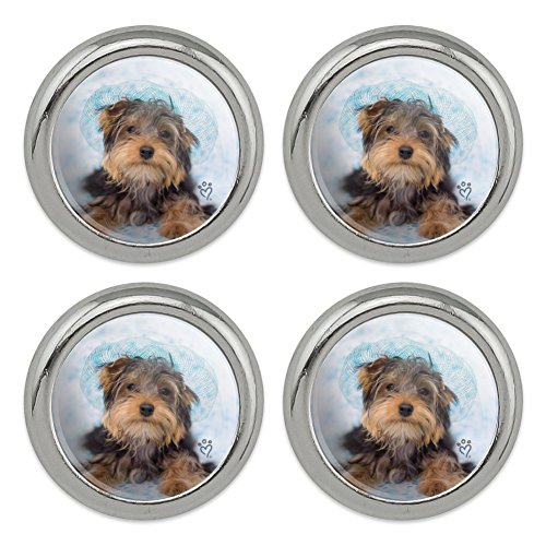 Yorkie Yorkshire Terrier Dog Resting with Blue Hat Metal Craft Sewing Novelty Buttons - Set of 4