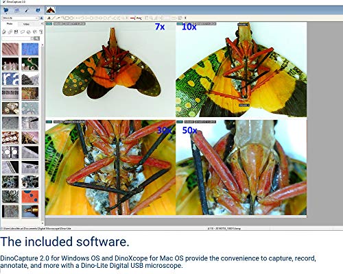 4 DINO+LITE+AM2111+MICROSCOPE+DIGITAL+10X+70X