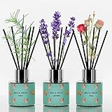 Binca Vidou Reed Diffuser Set of 3, Lavender Rose