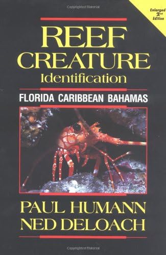 Reef Creature Identification: Florida, Caribbean, Bahamas