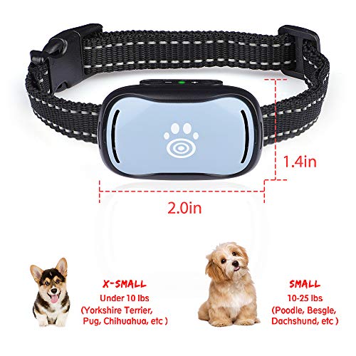 most humane shock collar