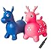 NDN LINE Bouncy Animal, Bouncy Horse Inflatable with Pump