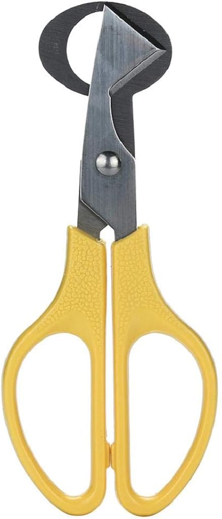 Rape Flower Pigeon Quail Egg Scissors Cracker Opener Cigar Cutter Stainless Steel Tool