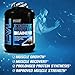 Evlution Nutrition Stacked Protein Gainer 7 LB Protein Powder with 50 Grams of Protein, 12 Grams of BCAAs and 10 Grams of Glutamine, Chocolate Decadence