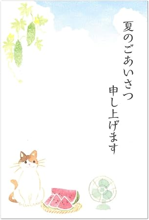 Amazon Co Jp ポストカード 夏柄 夏空 5枚入り 11 文例付き 夏のご挨拶 ハガキ はがき Nb エヌビー Office Products