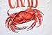 TIDI Products 313-25Pack Disposable Plastic Crab Bib, 1