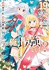 実は俺、最強でした? 第19巻