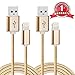 ZYD 2 Pack Certified Nylon Braided 8 Pin Lightning to USB Cable (10 Feet / 3 Meters)