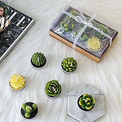 image for LA BELLEFÉE Cactus Tealight Candles, Decorative Delicate Succulent Ha