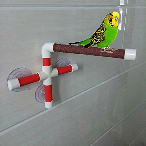 Portable Suction Cup Bird Window and Shower Perch Toy for Bird Parrot Macaw Cockatoo African Greys Budgies Parakeet Bath Perch Toy