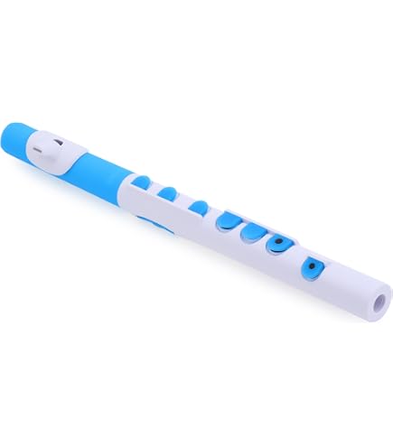 Amazon.com: Nuvo jFlute Beginner Student Flute – White/Blue, Donut