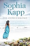 Die ooreenkoms (Afrikaans Edition)