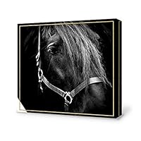 signwin-Canvas Wall Art-Black and White Horse-Canvas Prints Home Artwork Decoration for Living Room,Bedroom - 12x12 inches