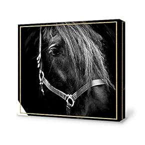 Canvas Wall Art-Black and White Horse-Canvas Prints Home Artwork Decoration for Living Room,Bedroom - 12x12 inches