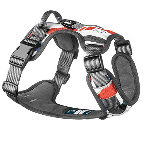 Embark Urban Dog Harness, Easy On and Off with Front and Back Leash Attachments & Control Handle