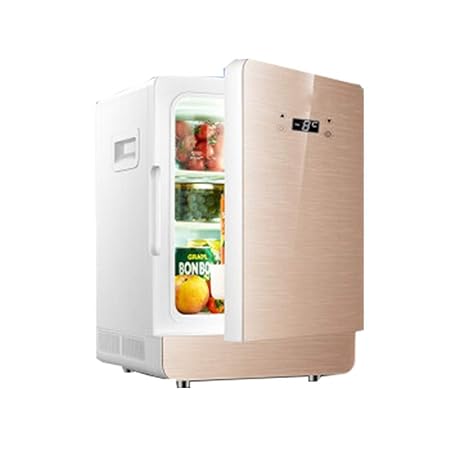 La Temperatura del Refrigerador 20l del Coche Mini Nevera PortáTil ...