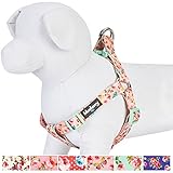 Blueberry Pet Step-in Spring Scent Inspired Rose and Butterfly Print Pastel Pink Dog Harness, Chest Girth 20
