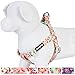 Blueberry Pet 9 Patterns Step-in Spring Scent Inspired Rose and Butterfly Print Pastel Pink Dog Harness, Chest Girth 16.5