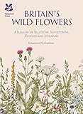 Britain's Wildflowers by Rosamond Richardson