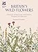 Britain's Wildflowers by Rosamond Richardson