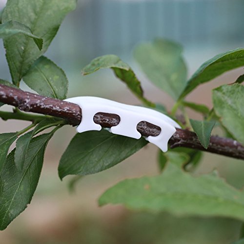 Kicode Supporting Plant-Branch Vine Clips Fixing Fruits Vegetables Twine Garden - Thumbnail 2