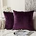 MIULEE Pack of 2 Velvet Soft Soild Decorative Square Throw Pillow Covers Set Cushion Case for Sofa Bedroom Car 16 x 16 Inch 40 x 40 cm Eggplant Purple