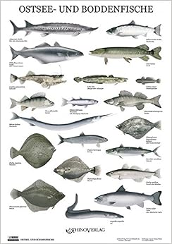 Fische In Der Ostsee Bilder