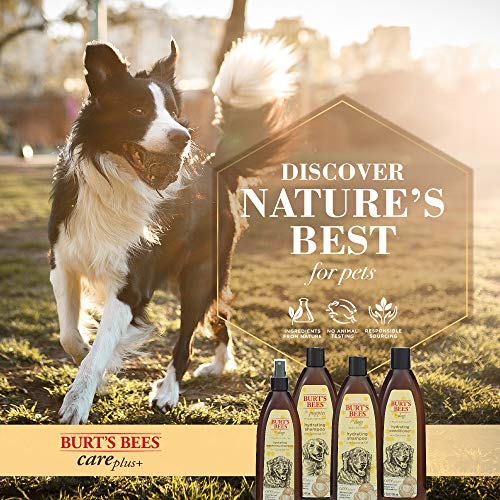 Burt's Bees for Dogs Care Plus+ Natural Hydrating Shampoo with Coconut