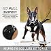BARKBAY No Pull Dog Harness Front Clip Heavy Duty Reflective Easy Control Handle for Large Dog Walking(Black,M)