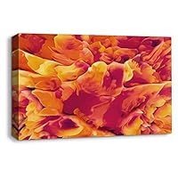 Canvas Wall Art Energe Wave Canvas Prints Home Artwork Decoration for Living Room Bedroom - 12x18 inches
