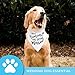 My Humans are Getting Married Dog Bandana, Wedding Dog Bandana, Dog Engagement Announcement, Wedding Photo Prop, Pet Scarf, Pet