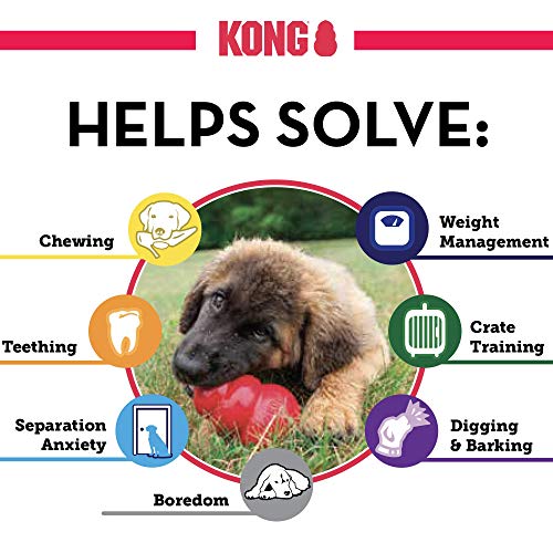 KONG Classic Dog Toy for Large Dogs - Image 6