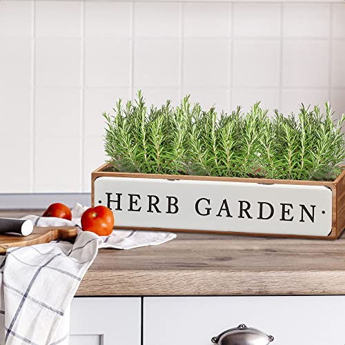Barnyard Designs Herb Garden Rustic Wood Planter Succulent Herb Plant