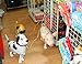 RIY Pet Balloons Pug Farm Walking Animal