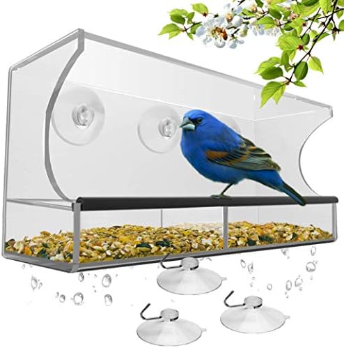 Window Bird Feeder