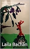 The Fox and the Grapes S̄unạk̄h cîngcxk læa xngùn : Children's Picture Book English-Thai (Bilingual Edition)