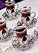 24 Pieces Tea Glasses with Holders Spoons and Saucers Set of 6 - Vintage Tulip Design Ottoman Arabic Gift Set, Silver